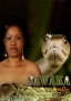 Sawaka